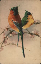 Colorful Birds on a Flowering Branch Postcard