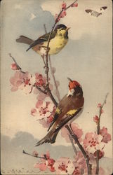 Birds on a Flowering Branch C. Klein Postcard Postcard