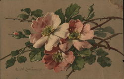 Pink Flowers C. Klein Postcard Postcard