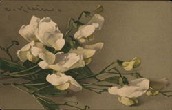 White Flowers with Green Stems and Leaves Postcard