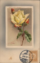 Yellow Rose Postcard