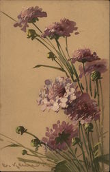 Purple Flowers with Green Stems, Buds and Leaves Postcard