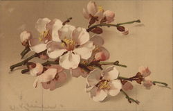 Sprigs of Blossoms Postcard