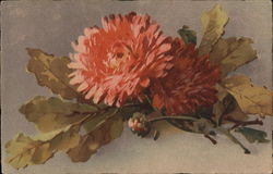 Orange Flowers with Green Leaves and Stem Postcard