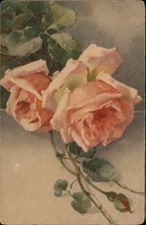 Pink Roses with Stems C. Klein Postcard Postcard