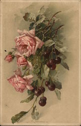 Pink Roses and Stems of Black Cherries Postcard