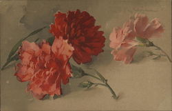 Red Flowers Postcard