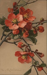 Red Blossoms Postcard