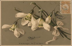 White Flowers Postcard