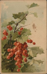 Red Berries with Black Dots C. Klein Postcard Postcard Postcard