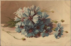 Blue Flowers C. Klein Postcard Postcard