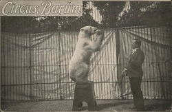 Performing Polar Bear and Trainer Postcard