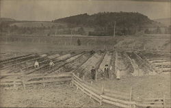 Family Posing in Farm Field Postcard