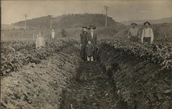 Family in Field Postcard