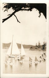 Group of Small Sailboats (students?) Postcard