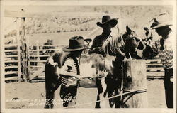 Branding, Lazy 8 Ranch Postcard