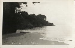 Store Bay Beach Tobago, West Indies Caribbean Islands Postcard Postcard Postcard