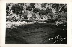 Beautiful Kern River Bakersfield, CA Postcard Postcard Postcard