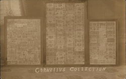 Cornelius Collection Display of Stamps and Paper Bills Postcard