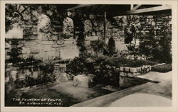 The Fountain of Youth St. Augustine, FL Postcard Postcard Postcard