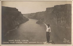 Snake River Canyon from Shoshone Falls Postcard