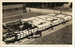 Company Clotheslines - Farragut Naval Training Station Postcard