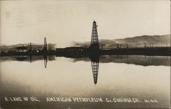 A Lake of Oil, American Petroleum Co. Coalinga, CA Postcard Postcard Postcard