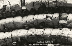 Swallows Mud Nests, Old Mission Postcard