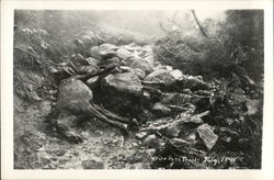 The White Pass Trail, July 1898 British Columbia Canada Postcard Postcard Postcard