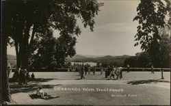 Greetings From Tanglewood Lenox, MA Postcard Postcard Postcard