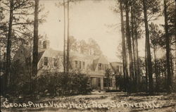 Cedar-Pines Villa, Hedge Row Postcard