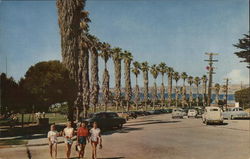 La Jolla Park California Postcard Postcard Postcard