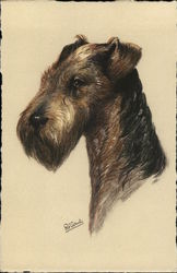 Illustration of Airedale Terrier Postcard