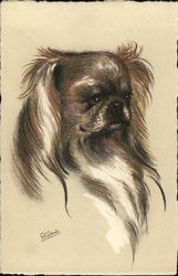 Pekingese Postcard