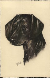 No. 116 Dachshund Basset Postcard