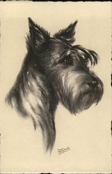 Schnauzer Postcard