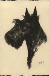 Scotch Terrier Postcard