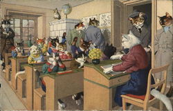 Kitty Classroom Dressed Animals Postcard Postcard Postcard