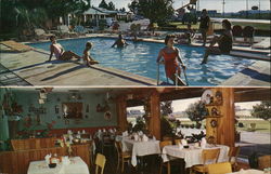 Gamecock Motel and Dining Room Santee, SC Postcard Postcard Postcard