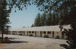 The Pine Cone Motel Penobsquis, NB Canada New Brunswick Postcard Postcard Postcard