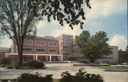 The Library, Michigan State University Postcard