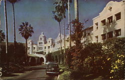 Palm Lined Drive of the Beautiful Beverly Hills Hotel Postcard