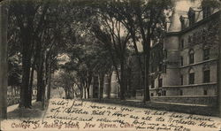 College Street, looking South New Haven, CT Postcard Postcard Postcard