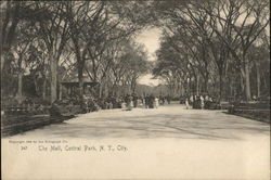 The Mall, Central Park Postcard