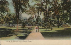 In Central Park Postcard