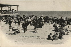 At the Height of the Season Postcard