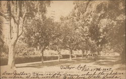 Central Avenue Mare Island, CA Postcard Postcard Postcard