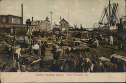 Colton Landing Levee New Orleans, LA Postcard Postcard Postcard