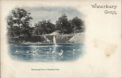 Swimming Pool at Hamilton Park Postcard