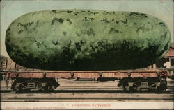 A California Watermelon on Railroad Car Postcard